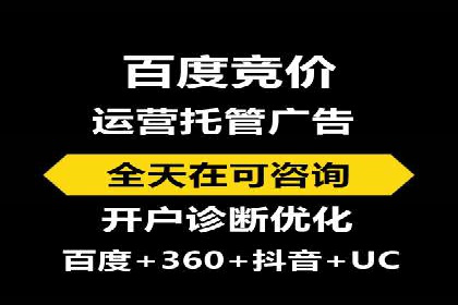 百度推广在电商行业的应用案例分析